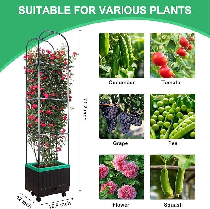 Raised Garden Bed with Self Watering Garden Pots Planter Box with Trellis for Climbing Plants Vegetable Vine Flowers Tomato Cage Planter for Indoor Outdoor Yard Greenhouse Use