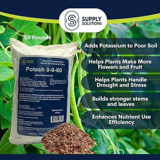 Supply Solutions Muriate of Potash 0-0-60 Fertilizer High Potassium Fertilizer Potassium for Plants Ideal Plant Food &amp Potash for Plants - for Lush Crops Blooms Acidic Plants (50lbs)