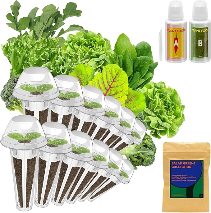 inbloom Salad Green Seed Pod Kit for Hydroponics Growing System 12 Pods (350+ Seeds with American Fast/Paris Island/Buttercrunch Lettuce Swiss Chard Spinach Cauliflower and Wild Cabbage)