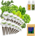 inbloom Salad Green Seed Pod Kit for Hydroponics Growing System 12 Pods (350+ Seeds with American Fast/Paris Island/Buttercrunch Lettuce Swiss Chard Spinach Cauliflower and Wild Cabbage)