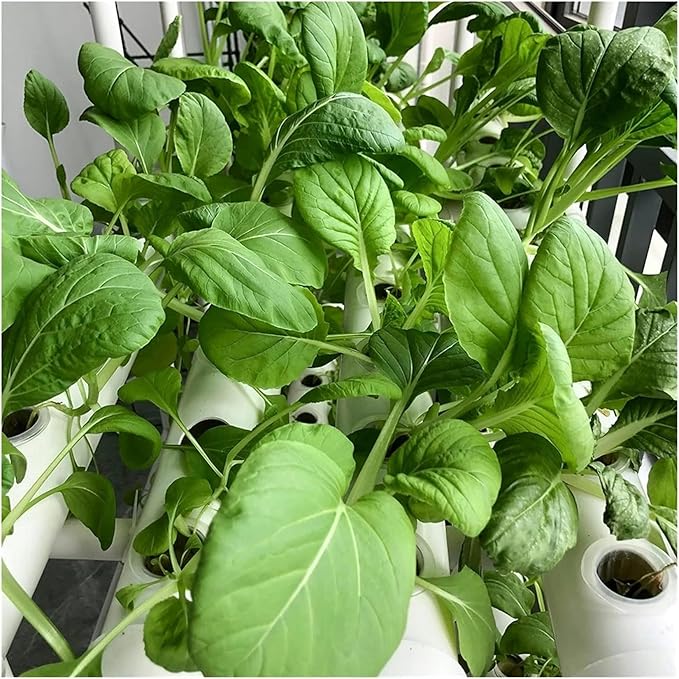 Hydroponics Growing System Hydroponic Grow Kit 36 Holes Pipe Grow Kit Indoor Greenhouse Planting Box Gardening System Nursery Pot Hydroponic Rack Hydroponic Tower