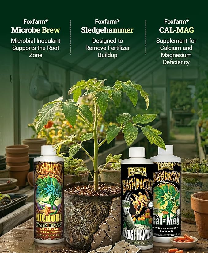 FoxFarm Dirty Dozen Liquids &amp Solubles Starter Pack - 3 Solubles (Open Sesame Beastie Bloomz Cha Ching) &amp 9 Pint Liquids (Big Bloom Tiger Bloom Grow Big &amp More) for Gardening Success