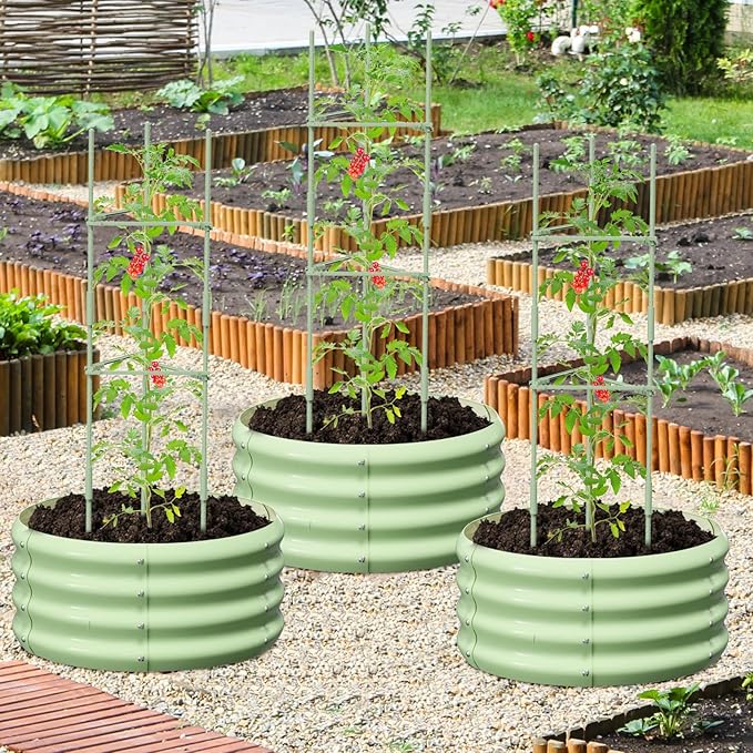 3 Pcs 2x2x1ft Round Galvanized Raised Garden Bed Kit with Tomato Cages Metal Planter Box Outdoor Raised Garden Beds for Gardening Vegetables Flowers Green