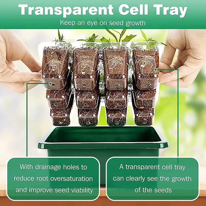Plant Starter Kit with Full Grow Light 5 Brightness Levels USB Powered Transparent Design - Adjustable Humidity and Temperature Control Indoor Gardening Made Easy