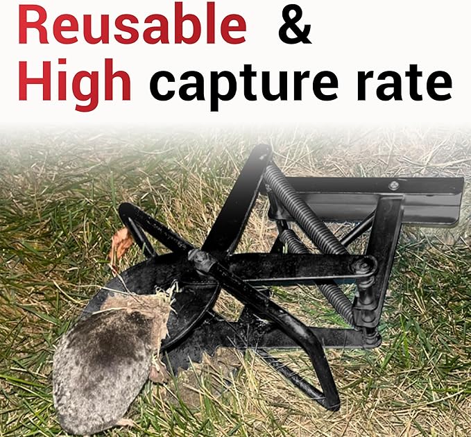 Mole Traps That Kill Best 2 Pack Scissor Mole Trap Sleek Black Stainless Steel Finish