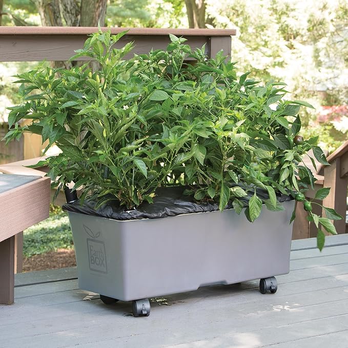 EarthBox Raised Garden Bed with Legs – Elevated Self Watering Planter Box with Wheels Storage Shelf Premium Plant Food Easy Assembly Made in USA Gray