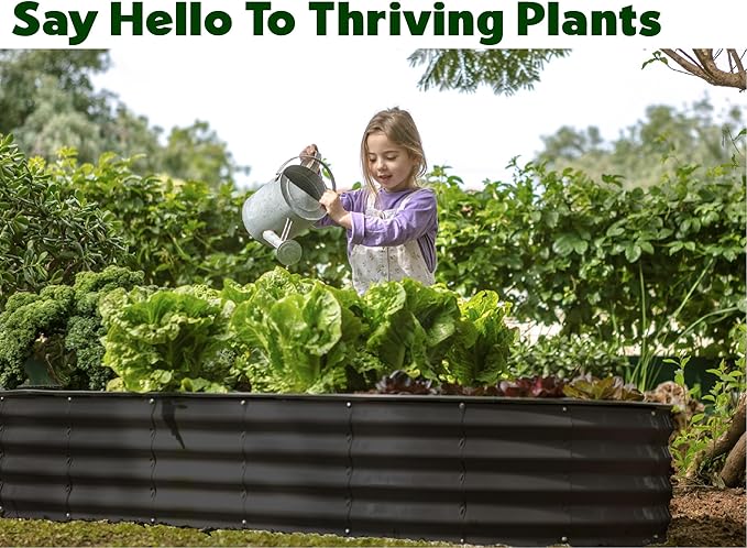 Plant &amp Plot Galvanized Raised Garden Beds Outdoor // 8×4×1 ft (2-Pack) Planter Raised Beds for Gardening Vegetables Flowers // Large Metal Garden Box // Patented Tool-Free Design (Black)