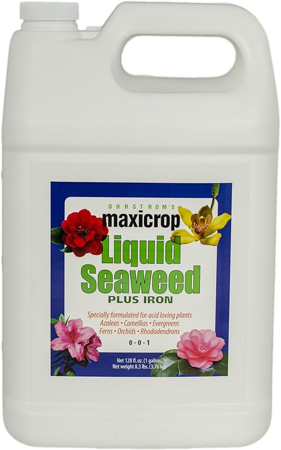 Maxicrop 2002 Liquid Seaweed Plus Iron Fertilizer 1-Gallon