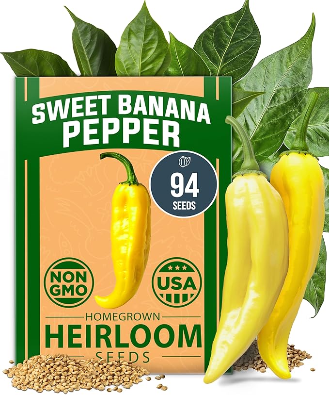 HOME GROWN 𝗨𝗦𝗔 𝗣𝗥𝗘𝗠𝗜𝗨𝗠 Arugula Roquette Seeds Pack 2175 &amp Banana Pepper 94 &amp Beefsteak Tomato 300 &amp Buttercrunch Lettuce 1975