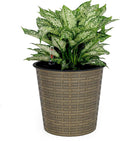 10.2 Self Watering Wicker Decor Planter for Indoor and Outdoor Round Natural