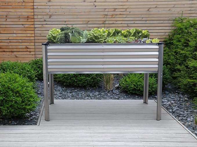 Galvanized Raised Garden Beds Outdoor with Legs // 48×24×31in Elevated Planter Box for Vegetables Flowers (Silver) // Large Metal Garden Bed for Backyard Patio Gardening