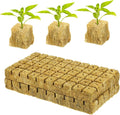 Toyvian 100Pcs Soilless Cultivation Planting Cubes for Hydroponics Soft Texture with Water Absorption for Starting and Plant Propagation