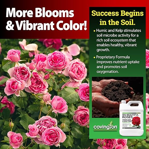 Covington Liquid Rose Fertilizer for All Types (1 Gal) – Liquid Concentrate for Desired Rose Tone – Natural Flower Bush Fertilizer for Indoor &amp Outdoor Use – Bloom Growth Plant Food