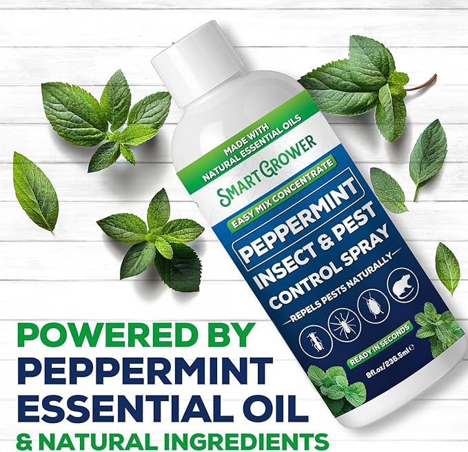 Peppermint Insect &amp Pest Control Best Value Concentrate - Repels Insects &amp Pests for Home Indoor Outdoor Garden - Maximum Strength Concentrate (Makes One Gallon RTU) 8 oz