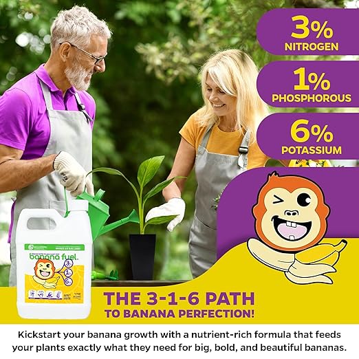 Wellspring Gardens Banana Fuel Liquid Fertilizer - Plant Fertilizer Concentrate - Plant Food - Formula for Banana Trees &amp Plants - Grow Healthy and Happy Plants - 32 fl oz