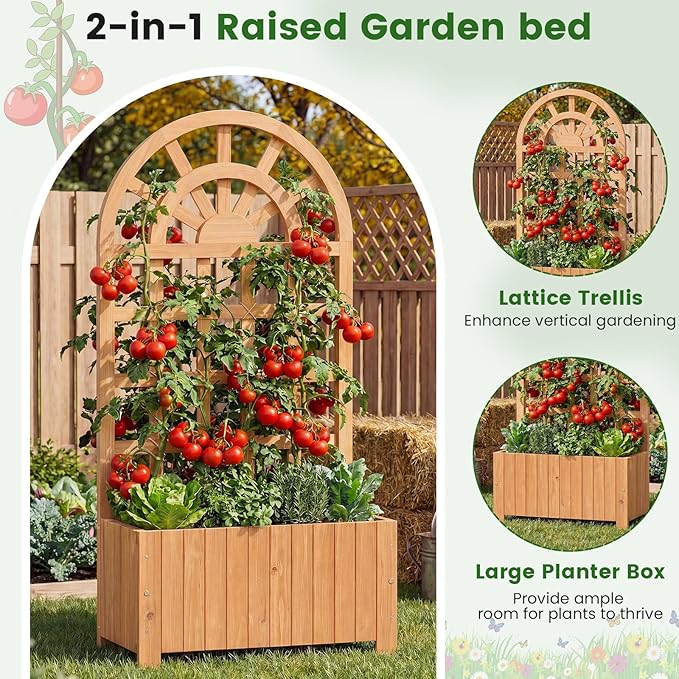 BECOMFORT 48”H Raised Garden Bed with Arched Trellis Fir Wood Planter Box with Privacy Screen &amp Drainage Holes for Balcony Yard Elevated Outdoor Flower Box for Climbing Plants Vegetables &amp