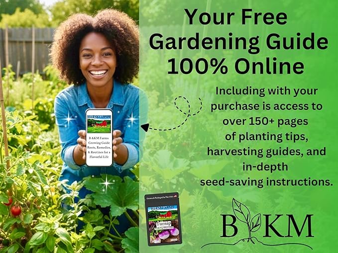 B&ampKM Farms Vegetable Seed Collection - 36 Varieties 72 Packets 80000+ Heirloom Non-GMO Seeds Resealable Storage Packaging(72 Pack: The Homestead Collection)