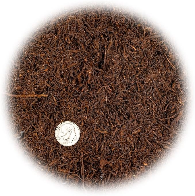 Premium New Zealand Tree Fern by GARDENERA - Orchid and Epiphytal Plants Growing Medium and Reptile Substrate - 3 Quart Bag