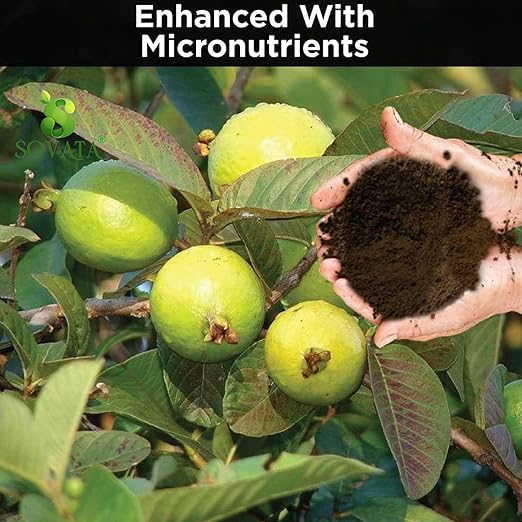 Sovata® Guava Growth Food Powerful Organic Fertilizer for Fast Growth and Heavy Fruiting of Guava Plants. (200 gm)