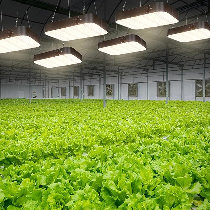 1000W LED Grow Light Dimmable Full Spectrum Plant Light 3 Lighting Modes Grow Lights for Indoor Plants Seed Starting Seedlings Vegetable for 2x2/3x3 Grow TentWhite