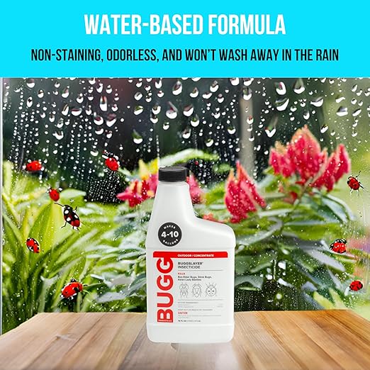 BUGGSLAYER Insecticide - Concentrate - Outdoor Box Elder Bugs Stink Bugs Asian Lady Beetles - 16 oz Bottle