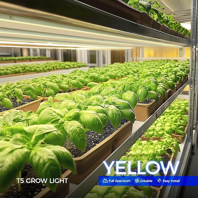 Barrina T5 Grow Lights Full Spectrum Grow Light 3ft 128W (8 x 16W 800W Equivalent) LED Grow Lights for Indoor Plants Ideal for Indoor Plants Plant Grow Shelf Plug and Play Yellow 8-Pack