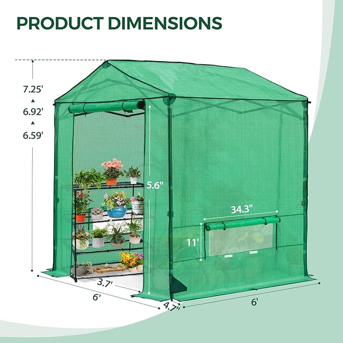 6x6 Pop Up Greenhouse Instant Walk in Green House with PE Cover Power Ports Roll up Doors &amp Windows for Indoor Outdoor Plant Growing Green