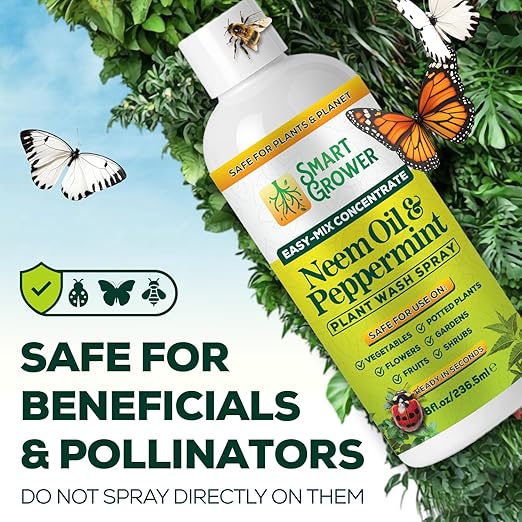 Neem Oil Spray for Plants with Peppermint Oil – for Indoor &amp Outdoor Plants Gardens &amp Houseplants– Best Value Refill 8 oz Concentrate Makes 1 Gallon RTU