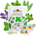 Burpee Heirloom Herb Seeds Variety Pack Non-GMO 16 Herbs - 15000+ Seeds with Basil Chives Catnip Chamomile Cilantro Dill Lavender Oregano Parsley Rosemary Spearmint Sage Tarragon Thyme