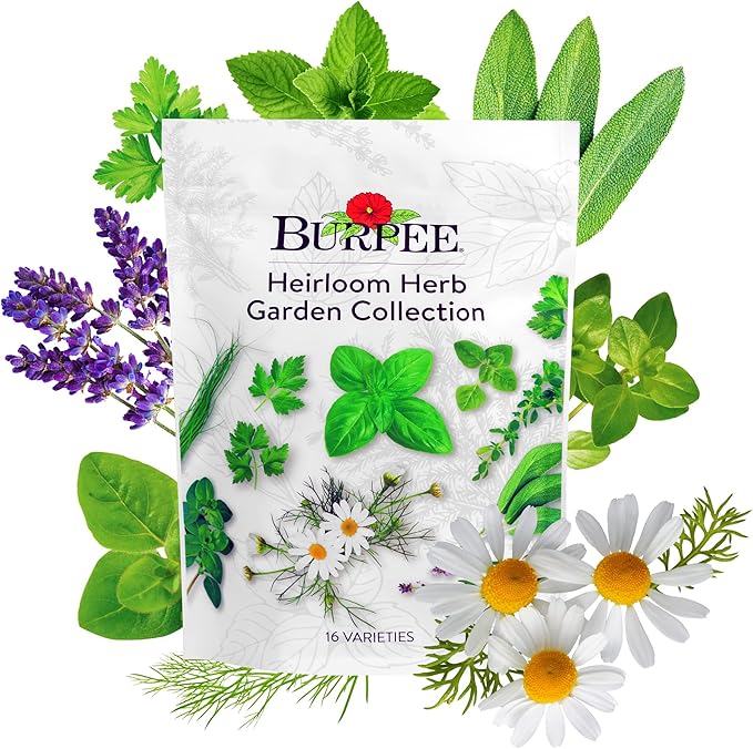 Burpee Heirloom Herb Seeds Variety Pack Non-GMO 16 Herbs - 15000+ Seeds with Basil Chives Catnip Chamomile Cilantro Dill Lavender Oregano Parsley Rosemary Spearmint Sage Tarragon Thyme