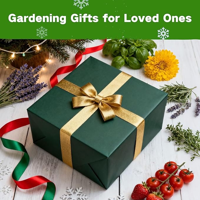 USDA Zone 8 Heirloom Seed Bank 30000+ Non-GMO 32 Varieties of Seeds for Planting Vegetables Herbs Survival Seed Kit for Raised Garden Bed Greenhouse Gardening Gifts for Mom Women Men