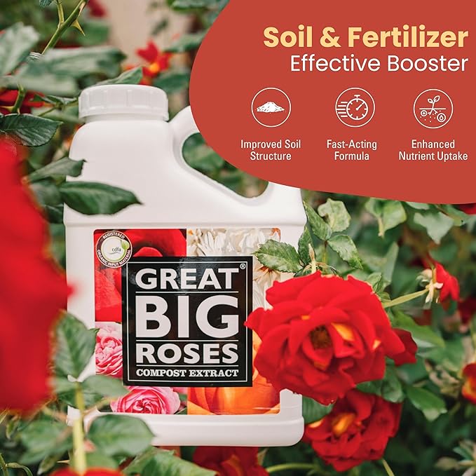 Great Big Roses – Soil and Rose Fertilizer Booster to Grow The Best Roses and Flowers Rose Food Compost Extract for Rose Bush 1 Gallon Concentrate (Makes 32 Gallons)