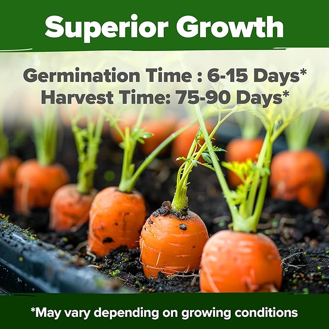 Root Vegetable Seed Variety Pack – Over 8600 Non-GMO USA Heirloom Seeds: Arugula Tendersweet Carrots Detroit Dark Red Beets &amp Cherry Belle Radish – Fast Growing for Spring &amp Fall Gardens
