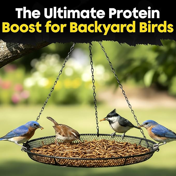 Dried Mealworms for Wild Birds - Crunchy Meal Worms for Wild Birds - High Protein Dried Mealworms for Bluebirds Cardinals &amp Woodpeckers - Premium Backyard Bird Treat - All Natural Bird Food (5lbs