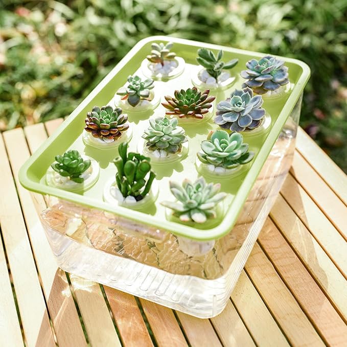 Hydroponic Planter Box 12-Hole Transparent Aquaponics Growing System with Green Lid for Home Balcony or Desktop Decor.