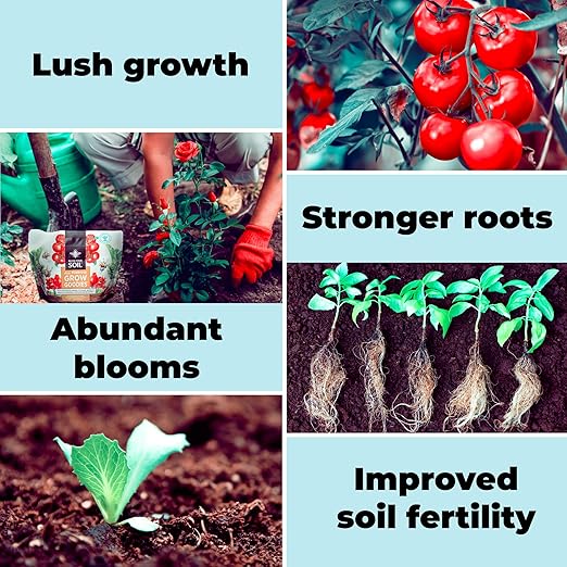 All Purpose Plant Food - Grow Goodies High-Performance Fertilizer Triple 16 NPK + Organic Superfoods and Micronutrients (Roses Vegetables Orchids Tomatoes Gardens 1LB)