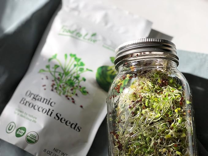 Food to Live Organic Broccoli Seeds for Sprouting 1 Pound – Non-GMO Vegan Kosher Sirtfood Bulk. Rich in Sulforaphane Vitamin C. Grow Sprouts Microgreens for Salads and Sandwiches