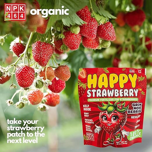 Happy Strawberry Fertilizer by Happy Nutrients Organic Premium Fertilizer for Strawberries &amp All Berries 12 oz (0.34 kg)