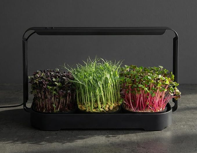 Microgreens Growing Kit Indoor Micro Greens Indoor Herb Garden Kit with LED Light 3 Microgreens Growing Trays 6 Jute Mats - Indoor Grow Kit &amp Herb Growing Kit (No Seeds)