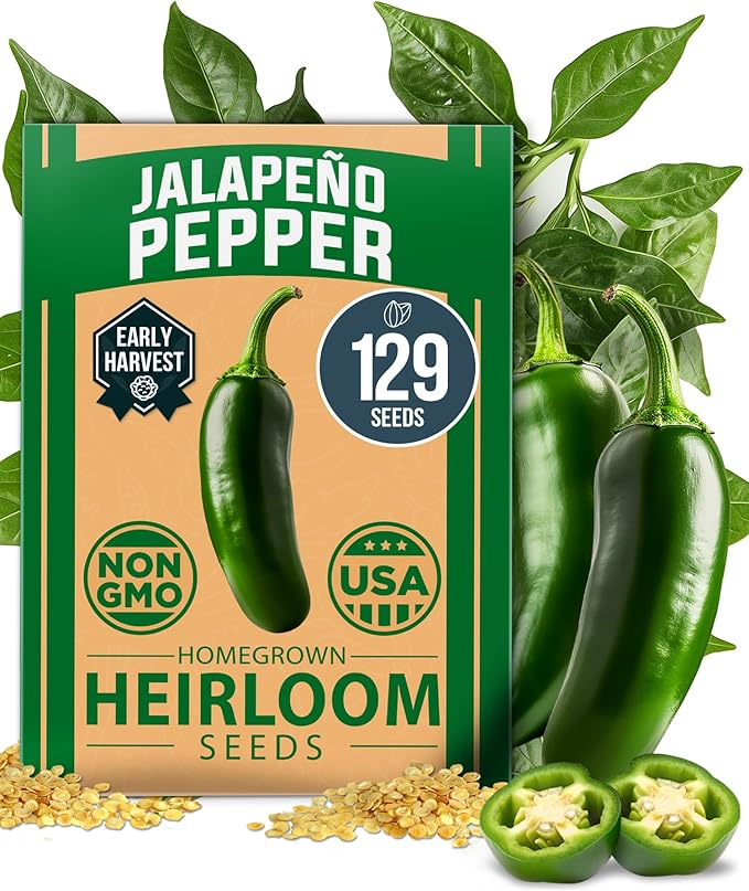 HOME GROWN 𝗨𝗦𝗔 𝗣𝗥𝗘𝗠𝗜𝗨𝗠 Jalapeno Pepper Seeds &amp Beefsteak Tomato 300 &amp Persian Cucumber 50 &amp Detroit Dark Red Beet - 500