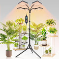 FECiDA 2026 4Head Grow Light with Stand 100 Watt Power Draw Bright and Big Coverage Grow Lights for Large Houseplants Bonsai Tree 4/8/12/16/20 Hr Timer 24-72 Height Adjustable 360° Gooseneck