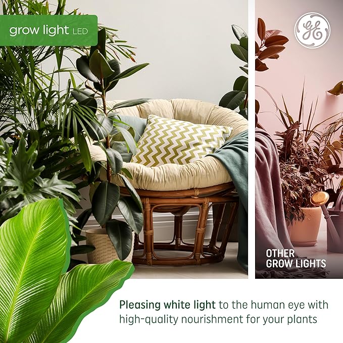 GE Grow Lights for Indoor Plants BR30 Indoor Floodlight LED Light Bulbs for Seeds and Greens with Balanced Spectrum 25000 Hours Lifespan 16 PPF 2 Pack (Packaging May Vary)