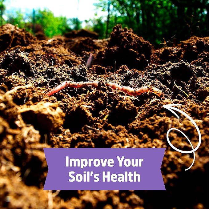 Back to The Roots 100% Organic Hairy Vetch Cover Crop Seeds Covers ~1000 sq. ft.