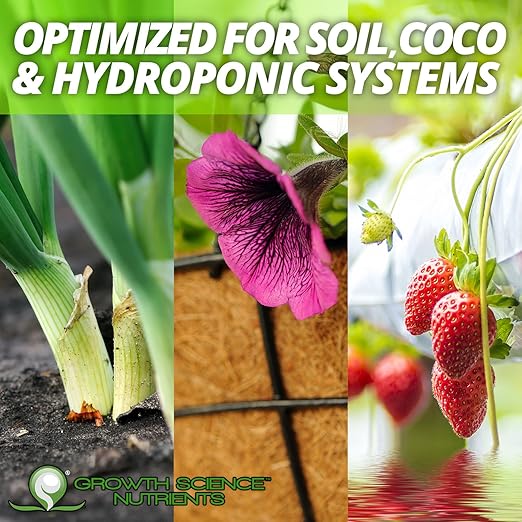 Nutrients - Solid Start (2-0-6) : Veg Booster (6G)