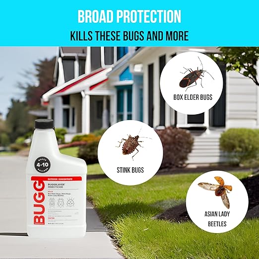 BUGGSLAYER Insecticide - Concentrate - Outdoor Box Elder Bugs Stink Bugs Asian Lady Beetles - 16 oz Bottle