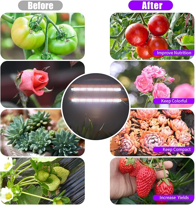 LED Grow Light Strips for Indoor Plants 16‘’ Full Spectrum 240 LEDs with 4 Install Methods 6/12/16H Timer 10 Dimmable Levels 3 Switch Modes for Seedling Succulent Sunlike Strip (2 Head 2 Pack)