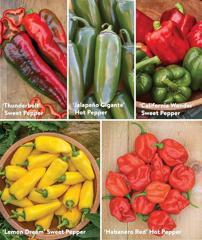 Burpee Best Collection | 10 Packets of Non-GMO Fresh Mix of Hot Pepper &amp Sweet Varieties | Jalapeno Bell Pepper Seeds &amp More Seeds for Planting