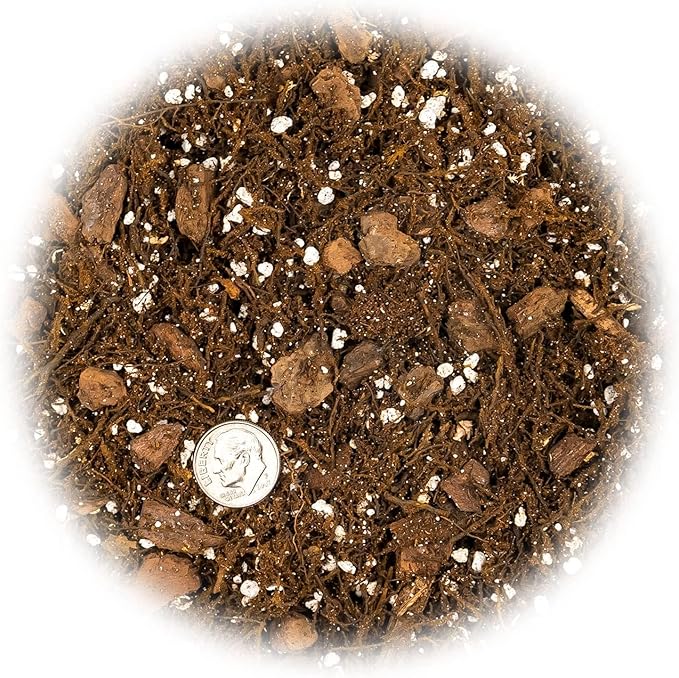 Premium Gardenera House Plant Potting Mix - 20 Quart - Fern + New Zealand Bark + Perlite | Great for Pothos Spider Plants Montsera Philodendron English Ivy (4 Bags of 5 Quart)