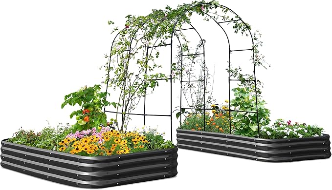 KING BIRD Raised Garden Bed with Arched Trellis Galvanized Planter Garden Box Outdoor for Gardening Climbing Vegetables Flowers 7.87x3.94x0.98 Ft 2PCS Dark Grey
