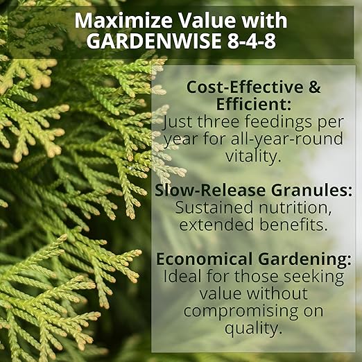 8-4-8 Acidic Fertilizer for Azaleas Camellias (Camelia) Hydrangeas Blueberries Gardenias Magnolia Trees Evergreens and Rhododendrons - Ideal Iron-Rich Plant Food (4 QUARTS)